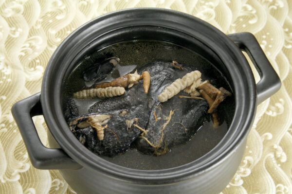鹿茸烏骨雞
