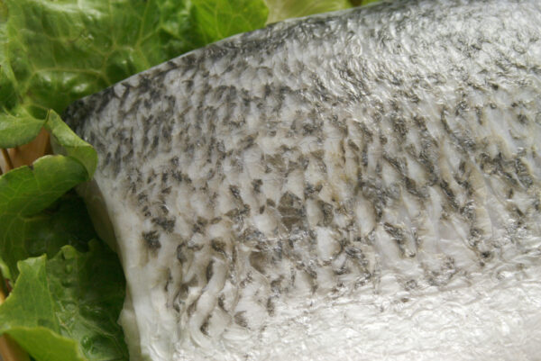 金目鱸魚排