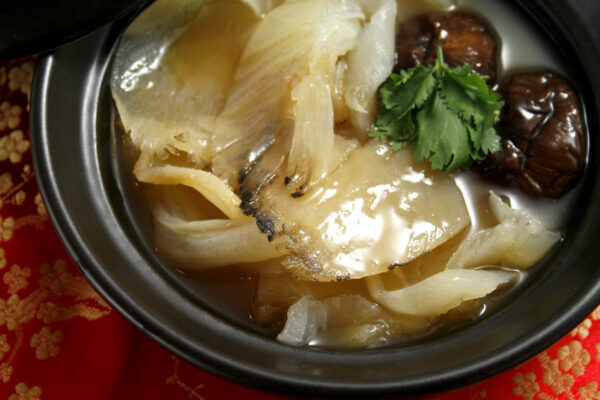 真魚翅＋高湯優惠組