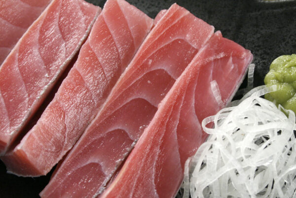 鮪魚肚