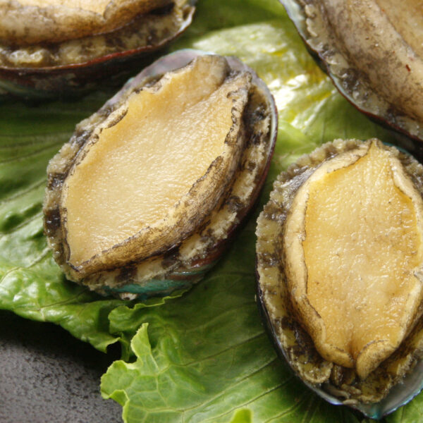 鮑魚
