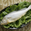 黃魚