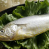 黃魚
