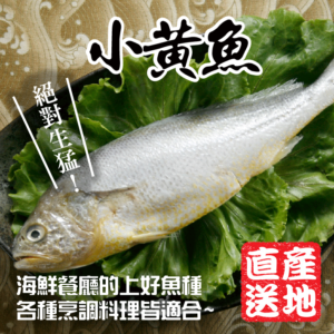 黃魚