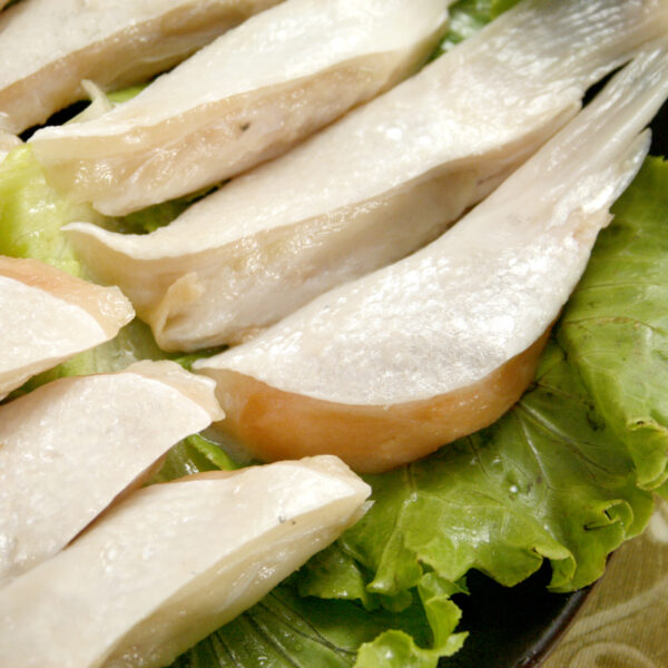 鮭魚腹鰭