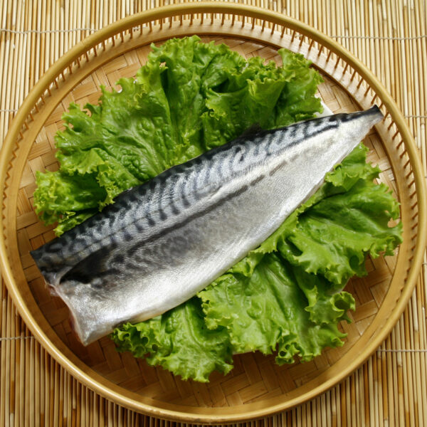 鯖魚