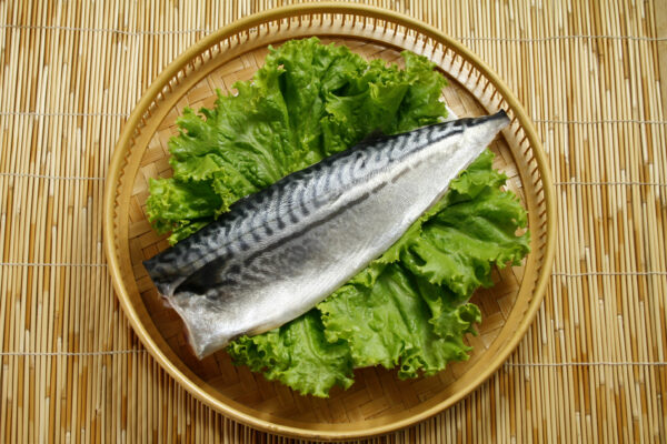 鯖魚