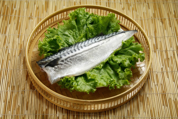 鯖魚