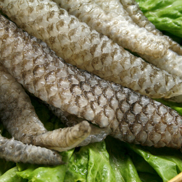 魚皮