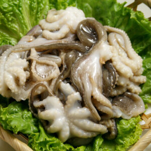 小章魚