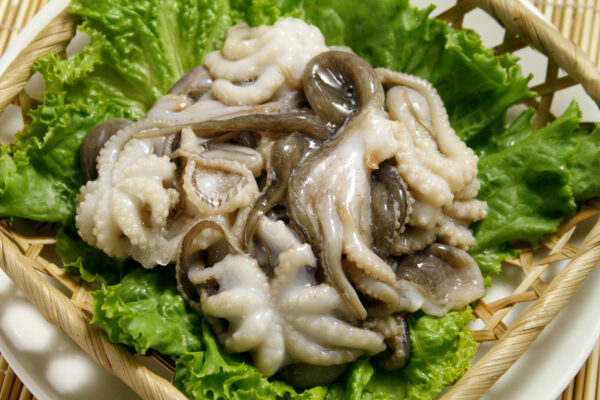小章魚