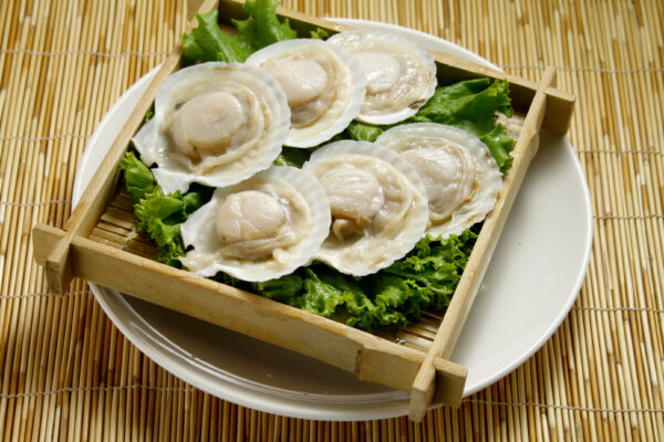 扇貝
