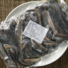 鱔魚片