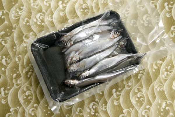 爆卵柳葉魚