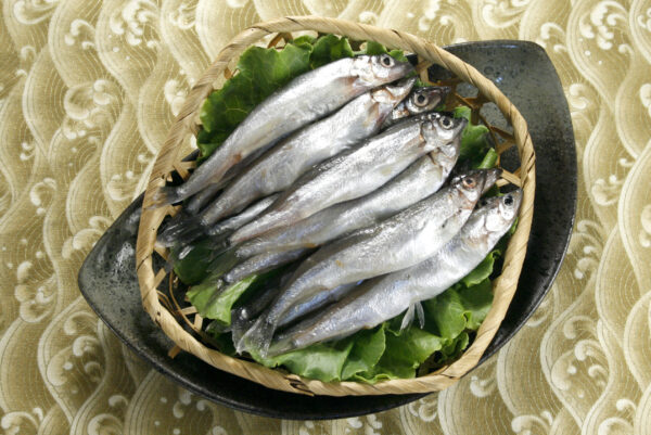 爆卵柳葉魚