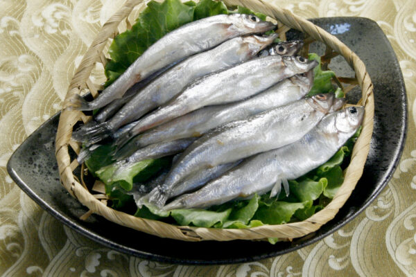 爆卵柳葉魚