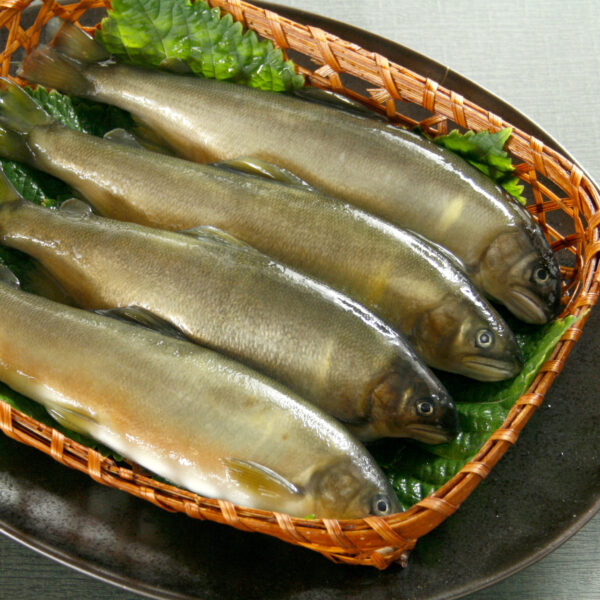香魚