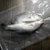 鱸魚(蝴蝶切)