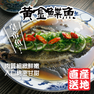 黃金鰈魚